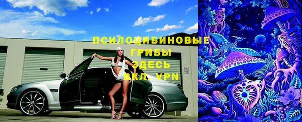a pvp Михайлов