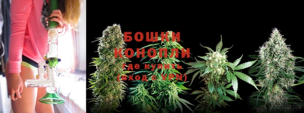 мдпв Навашино