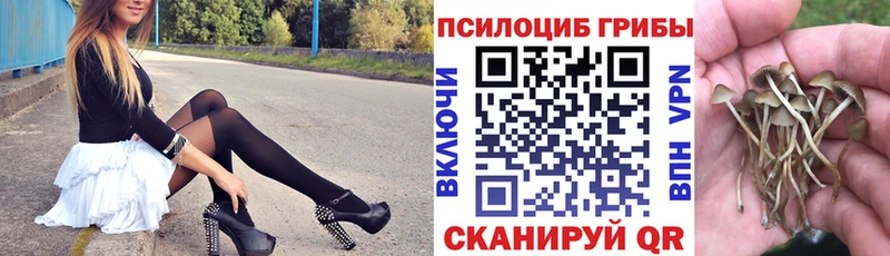 Псилоцибиновые грибы MAGIC MUSHROOMS  где купить наркотик  ОМГ ОМГ маркетплейс  Рыбное 